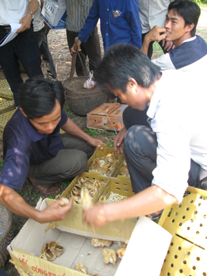 Đổi thay từ Chương trình 135 ảnh 1